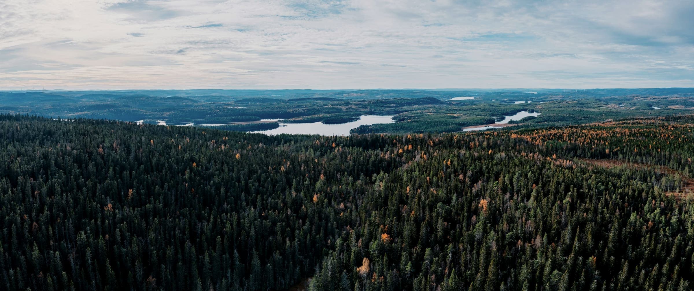 Skog och sjöar i södra Sverige sett från ovan